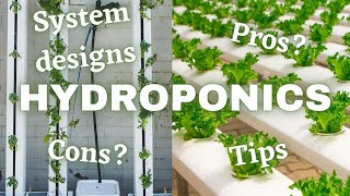 What Is Hydroponics And How Does It Work [upl. by Acirat495]