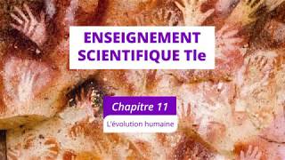 L’évolution humaine Enseignement scientifique Tle [upl. by Hulton541]