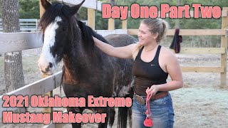 Wild Mustang Day One part two  2021 Oklahoma Extreme Mustang Makeover Ep 3 [upl. by Eisler]