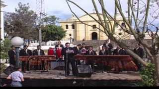 Marimba Maderas Chapinas  Concierto Color y Folklore Guatemalteco Vol 1 [upl. by Ynove554]