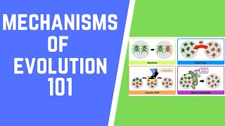 Mechanisms of Evolution 101 [upl. by Killam]