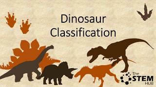 Dinosaur Classification [upl. by Domash]