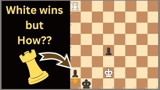 Brilliant Chess Puzzle with Zugzwang PLAN [upl. by Edivad]