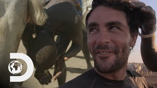 Mundari Tribe Use Cow Urine To Dye Levison Woods Hair  Levison Wood Walking The Nile [upl. by Sayre]