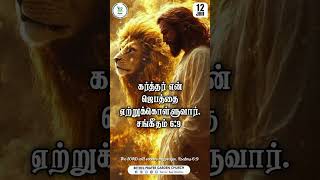 Todays Promise Word  January 2025  tamilbible bible youtubeshorts Jan12 [upl. by Saul]