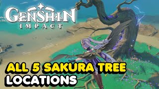 All 5 Sakura Tree Locations In Genshin Impact Sakura Arborism World Quest Guide [upl. by Mall]