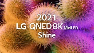 LG QNED 8K MiniLED │Shine 8K HDR 60fps [upl. by Enneirdna244]