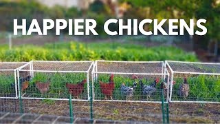 The Beginners Guide to Small Scale Backyard Pastured Poultry [upl. by Quincy205]