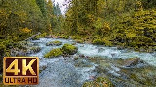 Beautiful Nature Video in 4K Ultra HD  Autumn River Sounds  5 Hours Long [upl. by Aivatan]