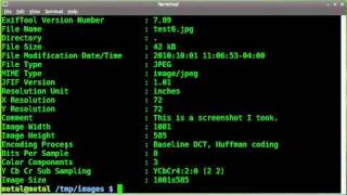 Working with jpg Metadata Comments  Exiftool  BASH  Linux Command Line [upl. by Aissirac]