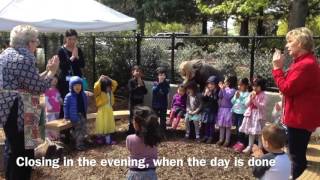 California Poppy Song in Fountainheads Garden [upl. by Ramso719]