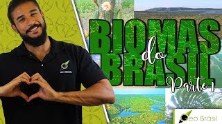 Biomas do Brasil part 1  Geobrasil [upl. by Ailadgim]