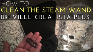 HOW TO Clean The Steam Wand on the Nespresso Breville Creatista Plus [upl. by Neelav518]