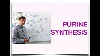 Purine Synthesis De Novo Purine Synthesis [upl. by Stephie]