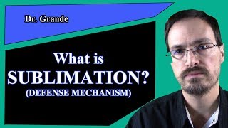 What is Sublimation Freudian Defense Mechanism [upl. by Leinadnhoj485]