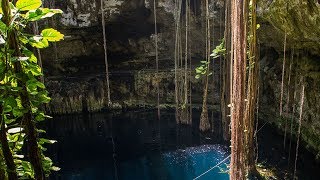 Top 8 Mexican Cenotes [upl. by Ramsa841]