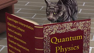 Quantum Physics – list of Philosophical Interpretations [upl. by Ligetti]