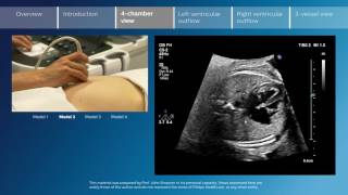 40 Weeks In The Womb by Ultrasound Dimensions [upl. by Boynton]