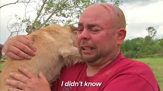 Dogs Meet Owners After Tornadoes [upl. by Kelcy]