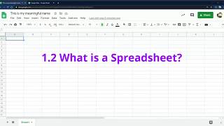 12 What is a Spreadsheet [upl. by Nannoc]