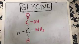 Glycine Structure  Amino Acid Basics [upl. by Queri]