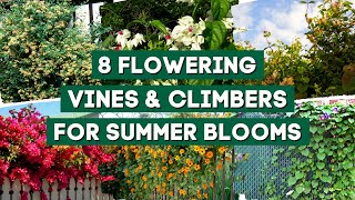 7 Best Flowering Vines amp Climbers to Plant for Summer Blooms 🌺  PlantDo Garden 💚 [upl. by Cleon700]