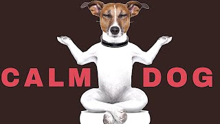 Sound To Calm Dogs Within 5 Minutes  Dog Hypnosis [upl. by Meid]