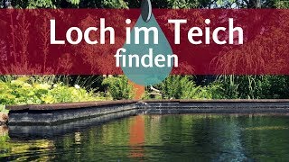 Undichter Teich So findet man einfach das Loch in der Teichfolie [upl. by Saddler]