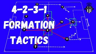 4231 Tactics and Analysis Roles of EACH position [upl. by Olva621]