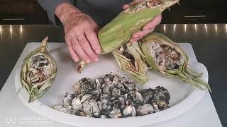 What is fresh Huitlacoche Corn Smut Mold Fungus how does it grow look taste what to do with it [upl. by Sev]