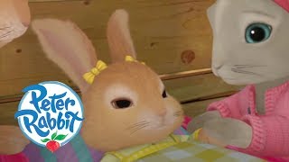 Peter Rabbit  Cottontails Lullaby  Cartoons for Kids [upl. by Flynn]