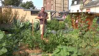 Mon jardin potager urbain permaculture Sept 2015 [upl. by Essy]