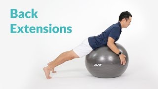 How to Perform Back Extensions on Exercise Ball [upl. by Oirasan]