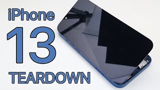 iPhone 13 Teardown  Full Disassembly [upl. by Mulvihill]