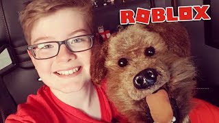 Playing Roblox with Hacker the talking dog [upl. by Eeramit969]