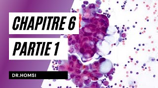 Cytologie  Chapitre 6 P1 La Membrane Plasmique  Dr Homsi [upl. by Aicener]