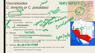 Coccidioides ParacoccidioidesTalaromycosis Penicillium [upl. by Cod35]