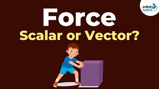 Force Scalar or Vector  Physics  Dont Memorise [upl. by Neelhtak]