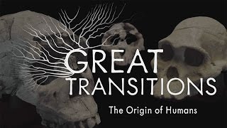 Great Transitions The Origin of Humans — HHMI BioInteractive Video [upl. by Illah752]