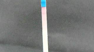 One Step Pregnancy Dipstick Test [upl. by Notyal75]