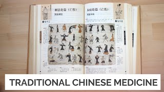 Traditional Chinese Medicine For Beginners [upl. by Vasily]