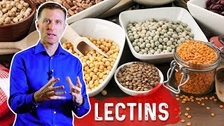 Lectins and Autoimmune Conditions [upl. by Akkim]