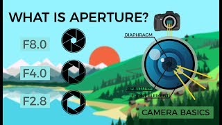 Camera Basics  Aperture [upl. by Onidranreb]