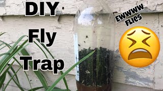 How to make a DIY fly trap [upl. by Anaihs]