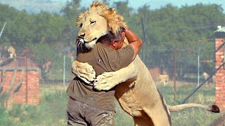 Animals Reunited With Owners After Years [upl. by Chak]