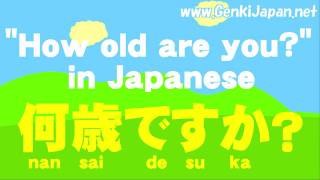 Learn Japanese How old are you GenkiJapanNet [upl. by Ardnaeed]