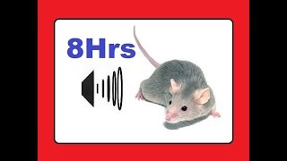 Rats repellent sound  effective for all Rodents [upl. by Toma]