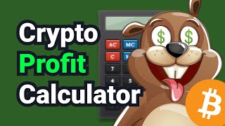 Crypto Profit Calculator [upl. by Ailgna]