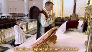 FSSP Video on Traditional Latin Mass Part 13 [upl. by Aisatana570]