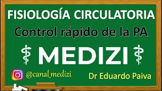 Presión Arterial y su Regulación  Fisiología  FCM UNR [upl. by Audly]